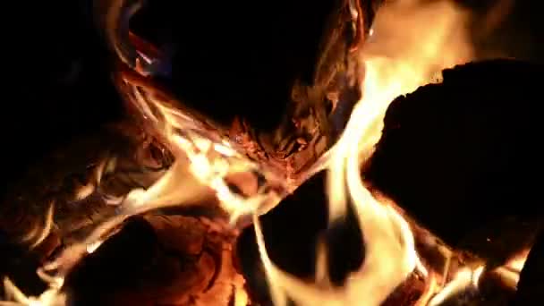 Burning firewood in the fireplace close-up — Stock Video