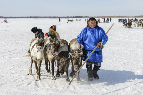 Tarko-Sale, Rússia - 2 de abril de 2016: Feriado nacional dos habitantes indígenas no Dia do Herdeiro das Renas de Yamal, Tarko-Sale, 2 de abril de 2016 — Fotografia de Stock