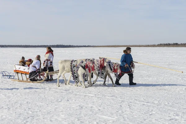 Tarko-Sale, Rusia - 2 de abril de 2016: Fiesta nacional de los habitantes indígenas en Yamal "Día del pastor de renos", Tarko-Sale, 2 de abril de 2016 —  Fotos de Stock
