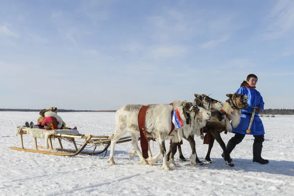 Tarko-Sale, Rússia - 2 de abril de 2016: Feriado nacional dos habitantes indígenas no Dia do Herdeiro das Renas de Yamal, Tarko-Sale, 2 de abril de 2016 — Fotografia de Stock