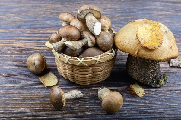 Korb mit Pilzen auf einem hölzernen Hintergrund — Stockfoto