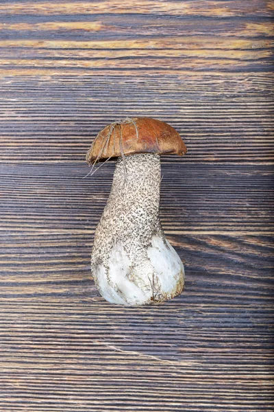 Pilz auf einem Holzgrund — Stockfoto