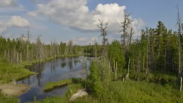 Hızlandırılmış fotoğrafçılık güzel doğa Yamal Yarımadası'nda Rusya — Stok video