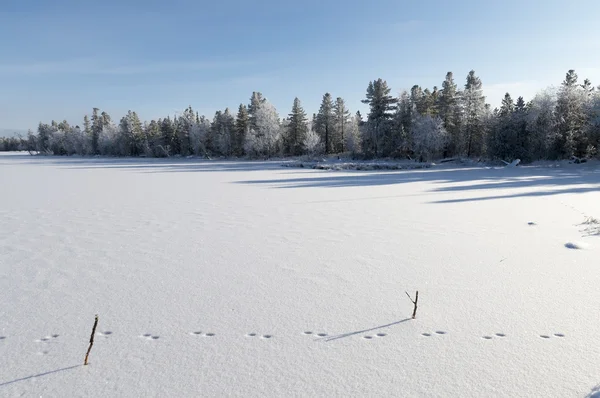 Naturaleza pintoresca en el norte de Rusia en el invierno —  Fotos de Stock