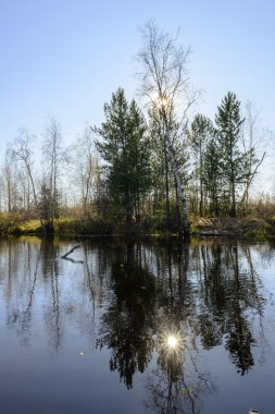 nehir ve ağaçlar Kuzey Rusya'nın doğal sonbahar manzara