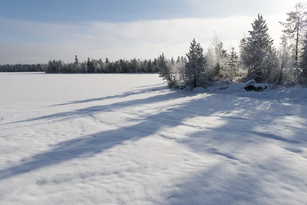 Paisaje escénico del bosque invernal en el norte de Rusia —  Fotos de Stock