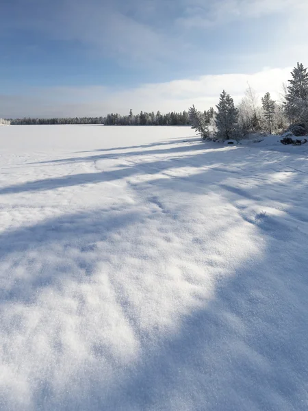 Scenic winter forest landscape in the north of Russia — Stock Photo, Image