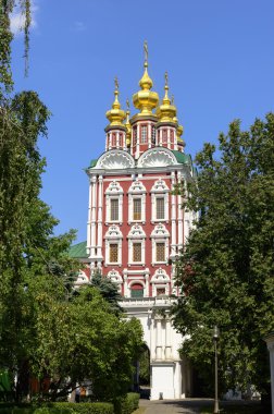 Moskova Novodevichy manastır doğal görünümü