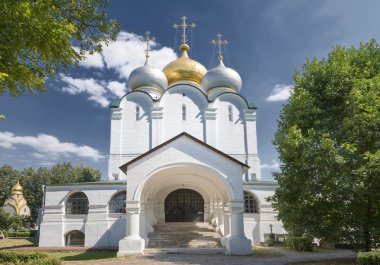 Novodevichy manastır doğal görünümü