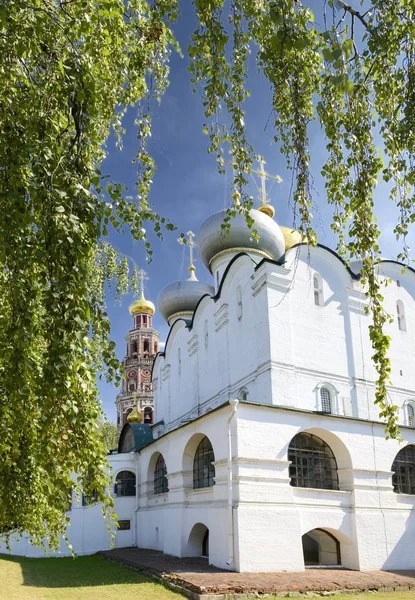 Scenic view of the Novodevichy Convent — Stock Photo, Image