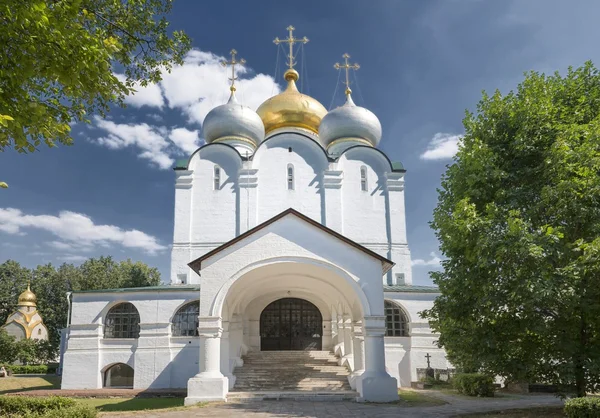 Vista panorámica del convento Novodevichy Fotos De Stock Sin Royalties Gratis