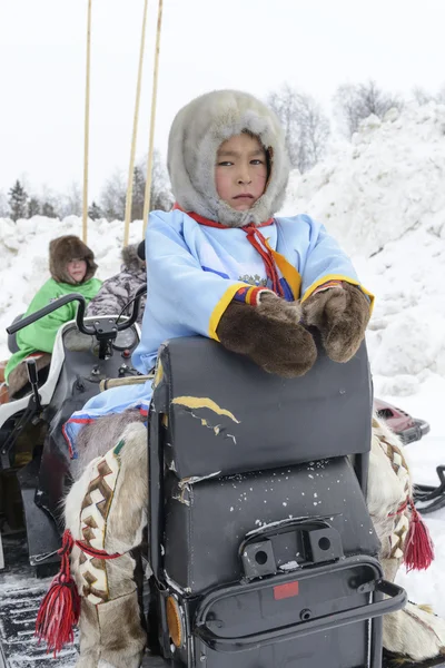 在"驯鹿牧民日"上骑雪地摩托的男孩 — 图库照片