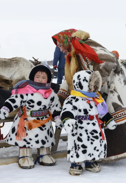 Nenets på nationell festival "dagen renen renskötarna ' i Sibirien — Stockfoto