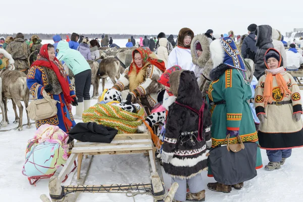 Nenets at national festival "Day Reindeer Herders' in Siberia — Stock Photo, Image