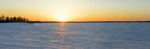 Bir gün batımı Sibirya Tayga Panoraması