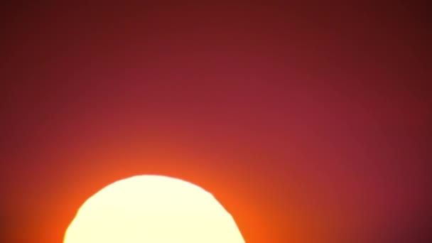 Superbe lever de soleil propre sur un ciel rouge-orange en time-lapse. Big Sun Moving Up Across the Sky Shining Bright. 4k Ultra HD 3840x2160. Vidéo De Stock