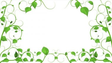 Yeşil büyüyen desen bırakır. HD 1080. Alfa maskesi.