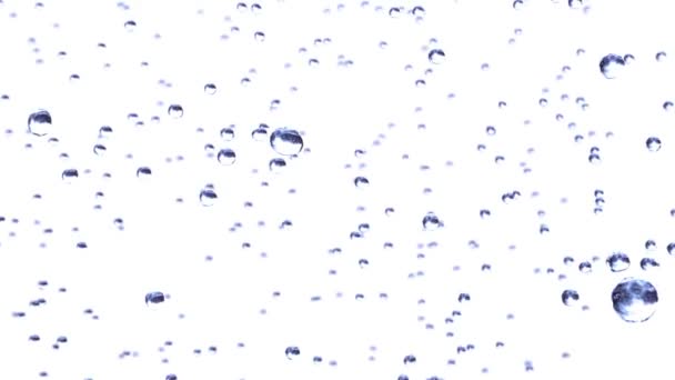 Краплі дощу в носовій анімації на білому тлі. HD 1080 зображення . — стокове відео