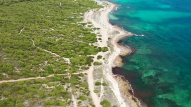 Aerial drone footage of the beach front on the Spanish island of Majorca Mallorca, Spain viewed from above on a bright sunny summers day showing the beach front along sand dunes at Platja de na Patana