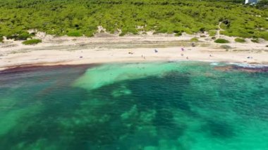 Aerial drone footage of the beach front on the Spanish island Majorca Mallorca, Spain showing the beach known as Platja de na Patana in the village of C'an Picafort on a sunny summers days