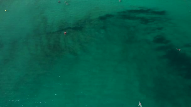 Съемки Воздуха Испанского Острова Ибица Показывающие Красивую Пляжную Полосу Отели — стоковое видео