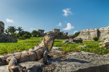 Tulum, Maya harabelerini