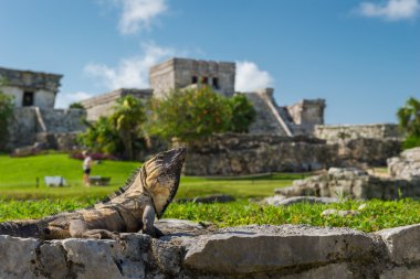 Tulum, Maya harabelerini