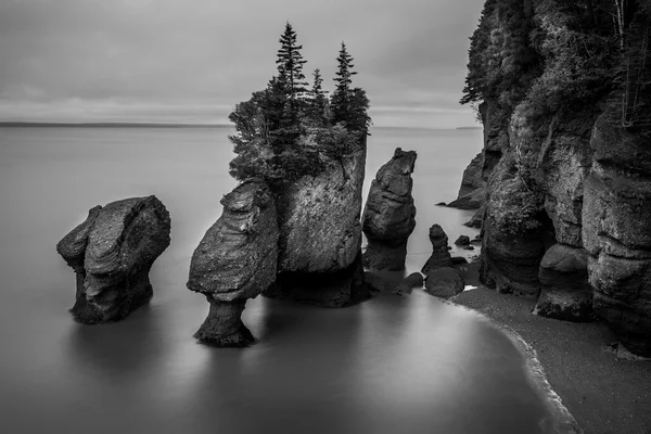 The Hopewell Rocks — Stock Photo, Image