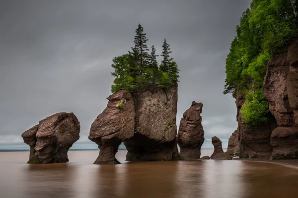 The Hopewell Rocks — Stock Photo, Image