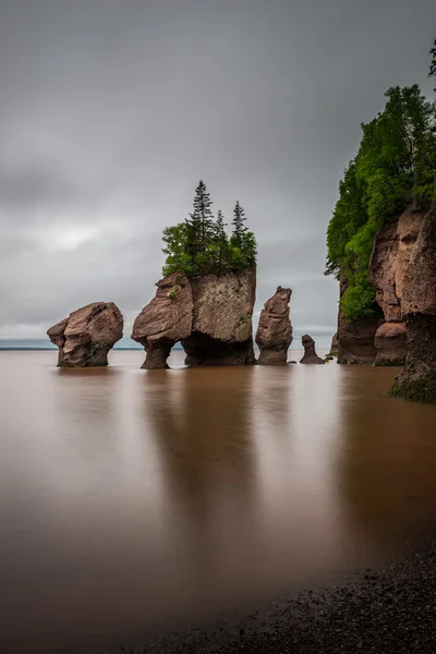 The Hopewell Rocks — Stock Photo, Image