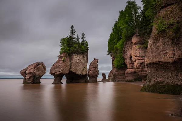 Os Hopewell Rocks — Fotografia de Stock