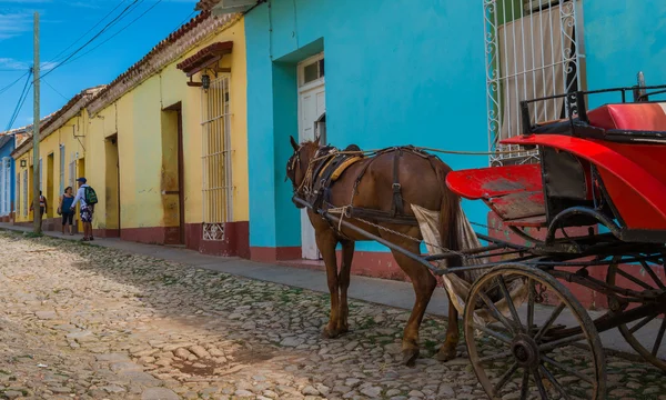 Cavallo e Buggy — Foto Stock