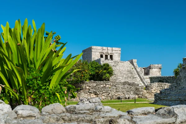 Maya-Ruinen bei Tulum — Stockfoto