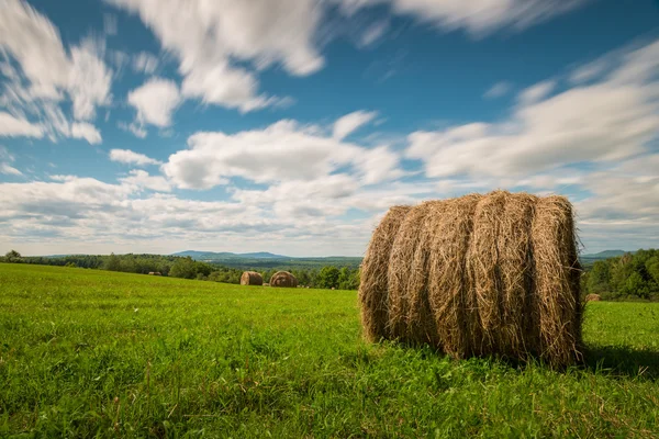 Széna bála Kanadában — Stock Fotó