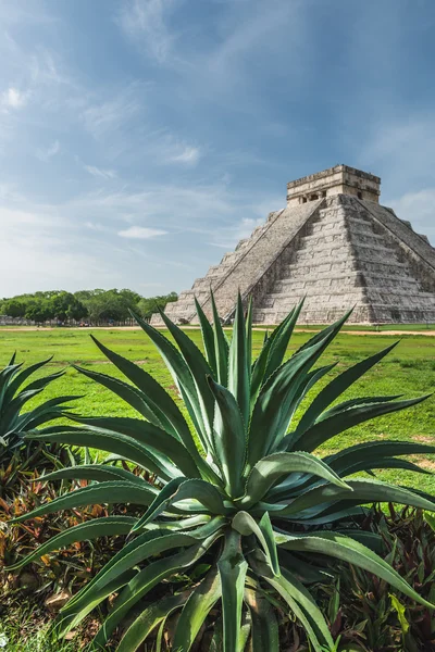 Pyramide de Kukulcan — Photo