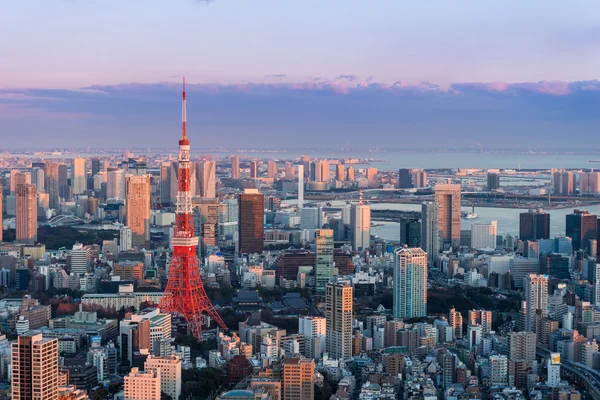 Tokyo tower Japonya — Stok fotoğraf