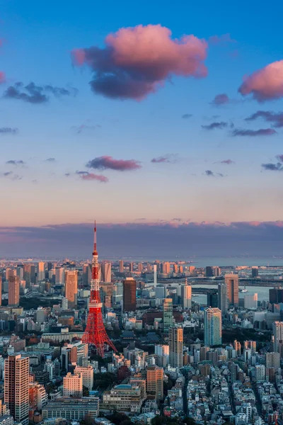 Torre de Tokio Japón — Foto de Stock