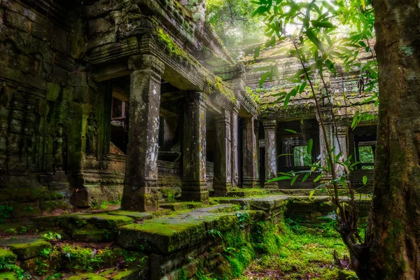 Ta prohm chrám — Stock fotografie