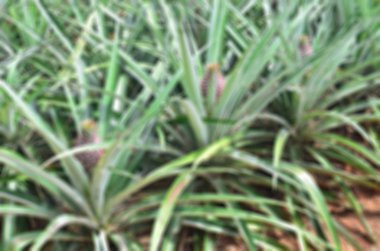 Arka plan bulanık ve resimde makale için olabilir