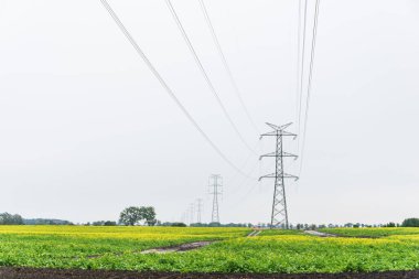 Kışın çatısı güneş panelleriyle kaplıydı. Kış boyunca güneşten gelen elektrik. 