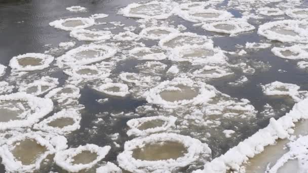 Bloco Gelo Que Flui Rio Durante Inverno Pequenos Grandes Blocos — Vídeo de Stock