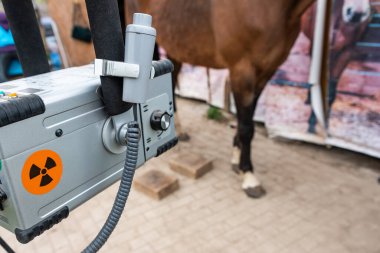 At ayağının radyografik görüntüsü. At ayağının röntgen taraması veterinere ve nalbanta bir sürü bilgi sağlar.