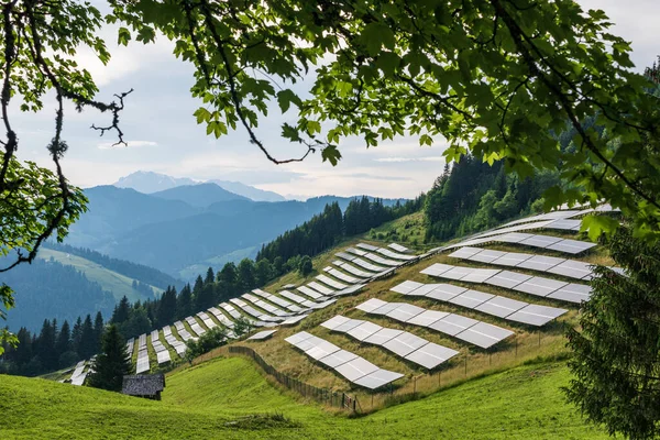 Photovoltaik Solarpark Einem Berghang Den Alpen Grünes Weideland Und Blauer lizenzfreie Stockbilder