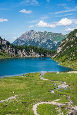 Bir dağ gölü kıyısında ve yüksek bir dağın eteğinde otlayan at ve inek sürüsü.