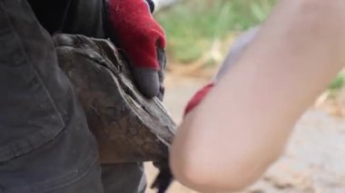 Doğal toynak kesimi - nalbant kesilir ve at toynakları şekillendirilir bıçak, toynak törpüsü ve ahşap ile.