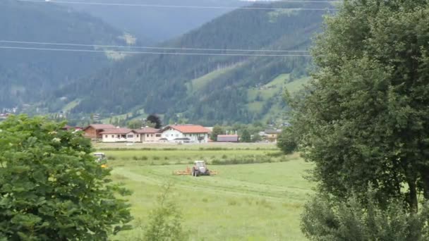 Трактор Альпійській Луці Ріже Зелену Траву Щоб Зробити Поживний Мул — стокове відео