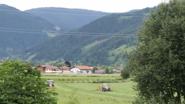 Dwa Ciągniki Łące Alpejskiej Ścinające Zieloną Trawę Grabią Trawę Rzędy — Wideo stockowe