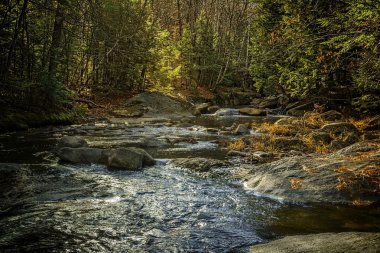 Pazar nehir, Bethel, Maine