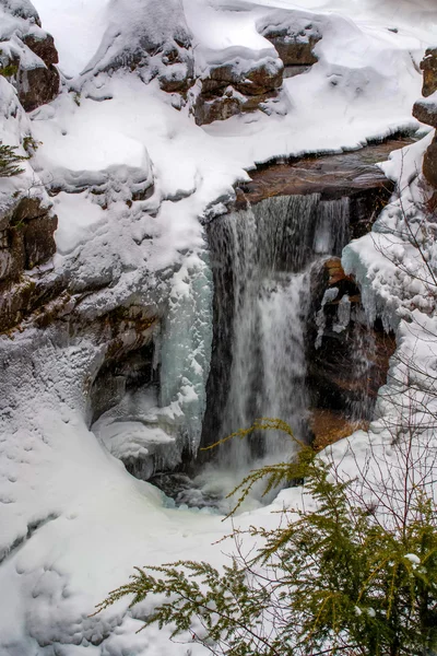 Parafuso Augur cai no inverno — Fotografia de Stock