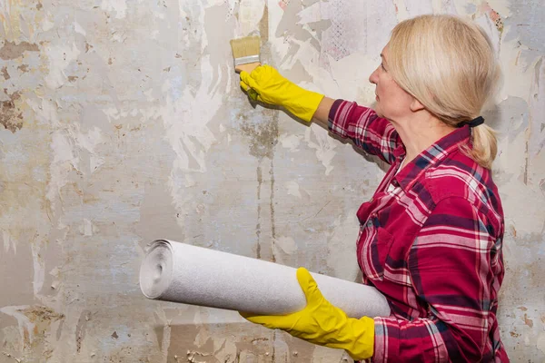Duvarı duvar kağıdı yapıştırıcısıyla kaplayan bir kadın var. Duvar kağıdı rulolarını elinde tutuyor. DIY onarımı.